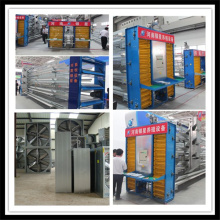 Automatic Layer Cage for Algeria Market